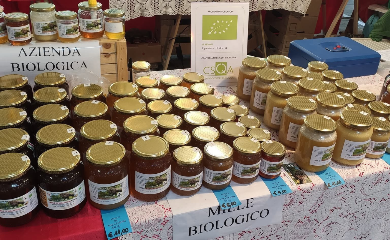 Progetto senza titolo